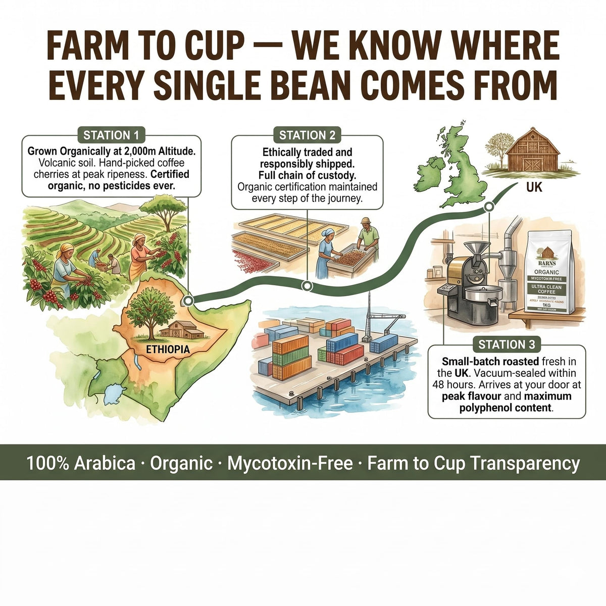 Barns Ultra Clean Coffee Beans 1kg | Medium Roast