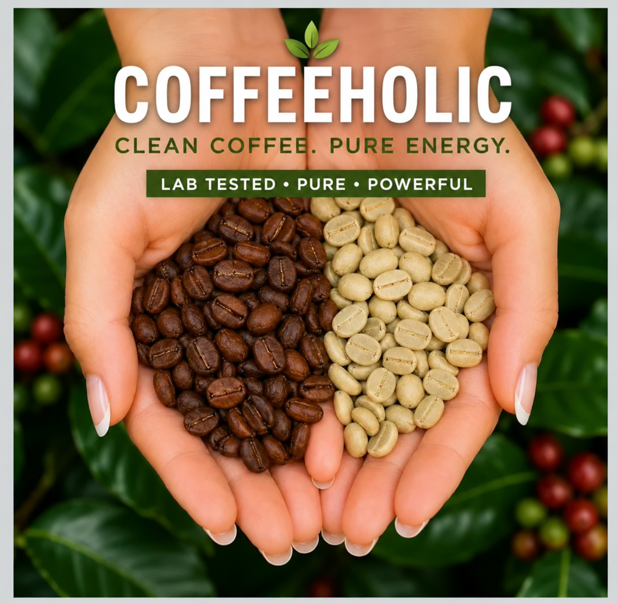 Coffeeholic artwork showing roasted and green coffee beans held in hands