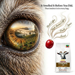 Goat Coffee Ethiopia Limu Ground Coffee 1kg | Medium Roast