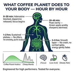 Coffee Planet Clean and Pure Strength Coffee Beans 1kg | Medium Roast