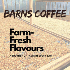 Barns Blue Mountains Jamaica Ground Coffee 1kg | Light Roast