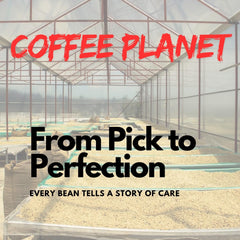 Coffee Planet Blend Ground Coffee 1kg | Dark Roast