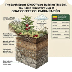Goat Coffee Colombia Nariño Ground Coffee 1kg | Medium Roast