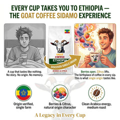 Goat Coffee Ethiopia Sidamo Ground Coffee 1kg | Medium Roast