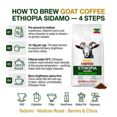 Goat Coffee Ethiopia Sidamo Ground Coffee 1kg | Medium Roast