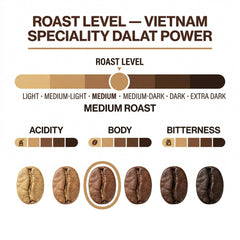 London Roast Co Vietnamese Coffee Beans 1kg | Medium Roast