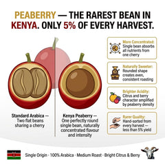 Goat Coffee Kenya Peaberry Ground Coffee 1kg | Medium Roast