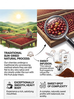 Goat Coffee Brazil Sul de Minas Ground Coffee 1kg | Medium Roast