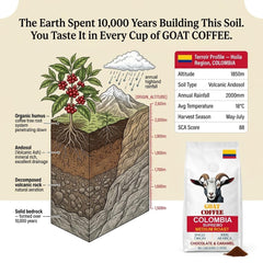 Goat Coffee Colombia Supremo Ground Coffee 1kg | Medium Roast