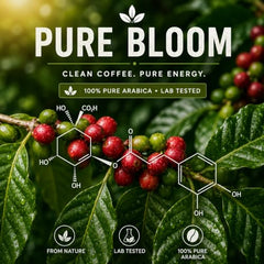 Pure Bloom Clean Jamaican Blue Mountain Specialty Coffee Beans 1kg