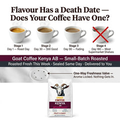 Goat Coffee Kenya AB Coffee Beans 1kg | Medium Roast