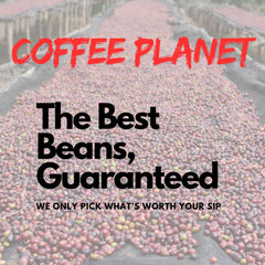 Coffee Planet Swiss Water Decaf Coffee Beans 1kg | Dark Roast