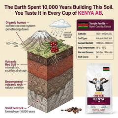 Goat Coffee Kenya AB Coffee Beans 1kg | Medium Roast