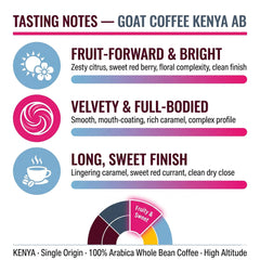 Goat Coffee Kenya AB Coffee Beans 1kg | Medium Roast