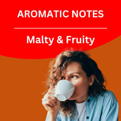 Golden Brasil Coffee 1kg