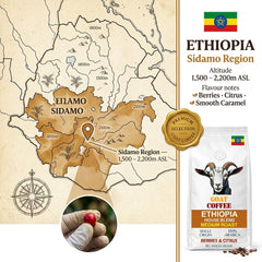 Goat Coffee Ethiopia House Blend Coffee Beans 1kg | Medium Roast