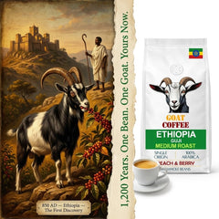 Goat Coffee Ethiopia Guji Coffee Beans 1kg | Medium Roast