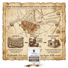 Coffee Phile Pure & Clean Coffee Beans 1kg | Medium Roast
