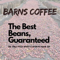 Barns Blue Mountain Jamaica Coffee Beans 1kg | Light-Medium Roast