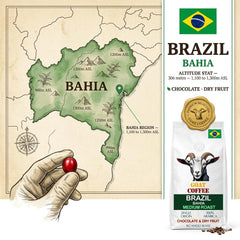 Goat Coffee Brazil Bahia Coffee Beans 1kg | Medium Roast