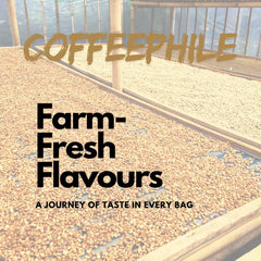Coffee Phile Decaf Ground Coffee 1kg
