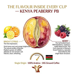 Goat Coffee Kenya Peaberry Ground Coffee 1kg | Medium Roast