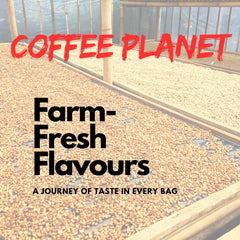 Coffee Planet Mexican Decaf Coffee Beans 1kg | Medium Roast