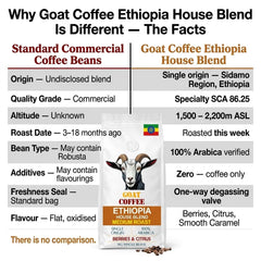 Goat Coffee Ethiopia House Blend Coffee Beans 1kg | Medium Roast