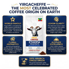 Goat Coffee Ethiopia Yirgacheffe Ground Coffee 1kg | Medium Roast