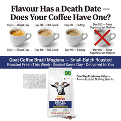 Goat Coffee Brazil Mogiana Coffee Beans 1kg | Medium Roast