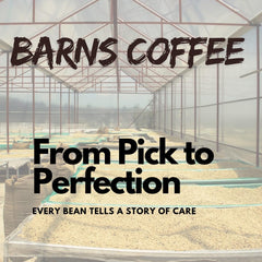 Barns Holiday Blend Coffee Beans 1kg | Medium Roast