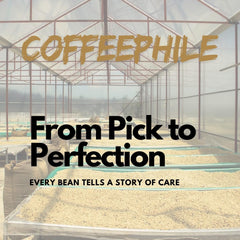 Coffee Phile 4 Cup Daily Ground Coffee 30g