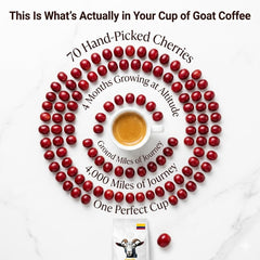 Goat Coffee Colombia Ground Coffee 1kg | Medium Roast