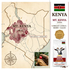 Goat Coffee Kenya Peaberry Coffee Beans 1kg | Medium Roast