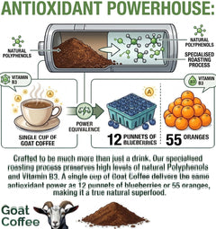 Goat Coffee Super Clean Ground Coffee 1kg | Medium Roast
