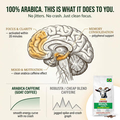 Goat Coffee Brazil Santos Coffee Beans 1kg | Medium Roast