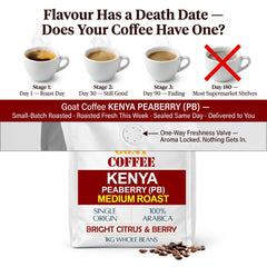 Goat Coffee Kenya Peaberry Coffee Beans 1kg | Medium Roast
