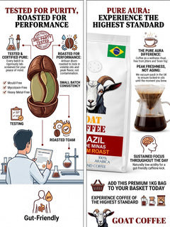 Goat Coffee Brazil Sul de Minas Ground Coffee 1kg | Medium Roast
