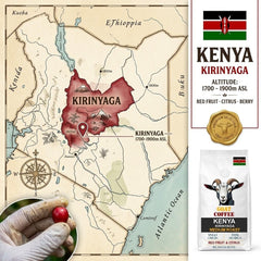 Goat Coffee Kenya Kirinyaga Coffee Beans 1kg | Medium Roast