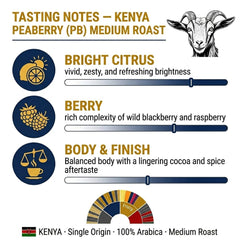 Goat Coffee Kenya Peaberry Ground Coffee 1kg | Medium Roast