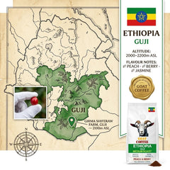 Goat Coffee Ethiopia Guji Ground Coffee 1kg | Medium Roast