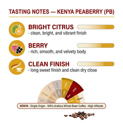Goat Coffee Kenya Peaberry Coffee Beans 1kg | Medium Roast