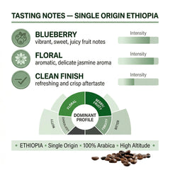 London Roast Co Ethiopia Coffee Beans 1kg | Medium Roast