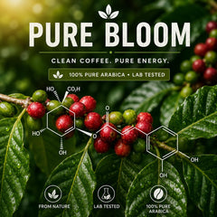 Pure Bloom Clean Brazil Coffee Beans 1kg
