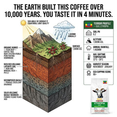 Goat Coffee Ethiopia Guji Ground Coffee 1kg | Medium Roast