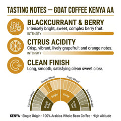 Goat Coffee Kenya AA Coffee Beans 1kg | Medium Roast