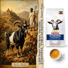 Goat Coffee Ethiopia Yirgacheffe Coffee Beans 1kg | Medium Roast