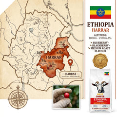 Goat Coffee Ethiopia Harrar Ground Coffee 1kg | Medium Roast
