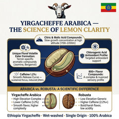 Goat Coffee Ethiopia Yirgacheffe Ground Coffee 1kg | Medium Roast