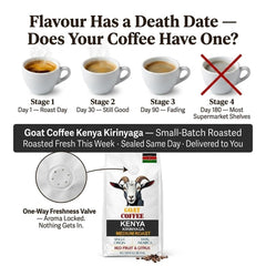 Goat Coffee Kenya Kirinyaga Coffee Beans 1kg | Medium Roast